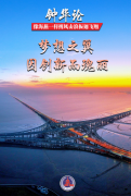 像海燕一样搏风击浪振翅翱翔 像海燕一样搏风击浪振翅翱翔