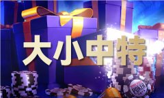 全年公式纪律抓中
