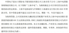 <strong>中电国服全资子公司拟向银行申请不超</strong> <strong>中电国服全资子公司拟向银行申请不超</strong>